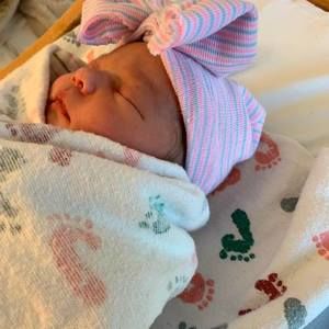 Meet your Posher, Robin